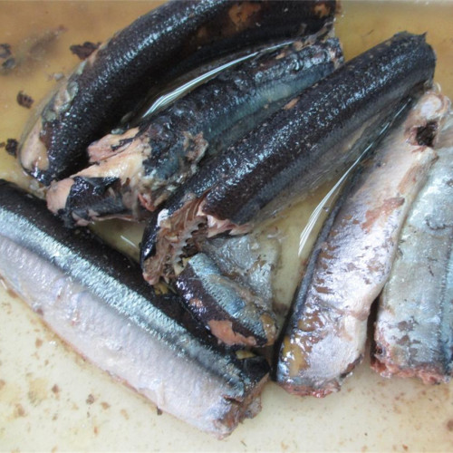 Saury Fisch in Dosen in Salzlake