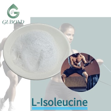 مسحوق L-Isoleucine لدعم العضلات والتغذية الرياضية