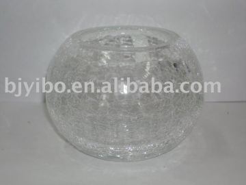 Transparent glass flower vase