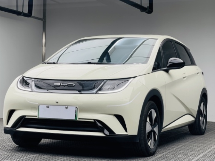 Byd Dolphin-Pure Electric Car