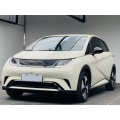 Pure Electric Car BYD Dolphin