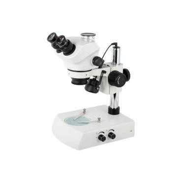 Dual Head Zoom Stereo Teaching Microscope with Camera