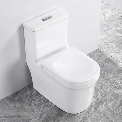 Siphon Sanitary Ware WC Inodoro - 300mm Elongated One Piece Dual Flush Toilet