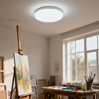 Smart Remote Control Ceiling Light