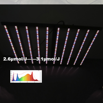 1200W inomhus örtträdgård LED Grow Light 6500k