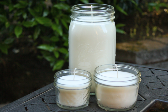 Glass Insect Repellent Citronella Candle