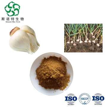 100% Natural Garlic Extract Powder Allicin