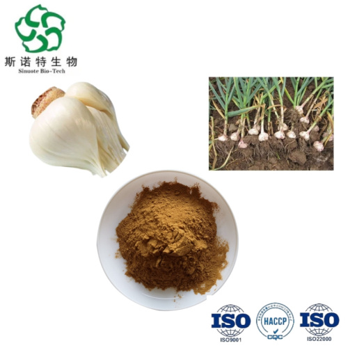 100% Natural Garlic Extract Powder Allicin