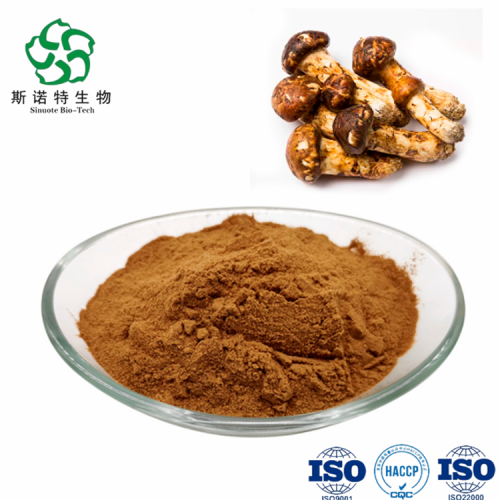 Free Sample Tricholoma Matsutake Extract Tricholoma Matsutake Mushroom Extract Polysaccharides Powder Supplier