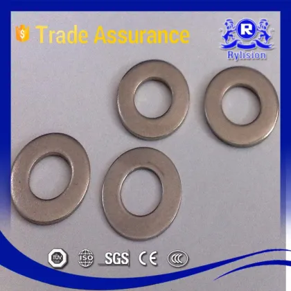 Macao SUS301 Stainless Steel Taper Washer
