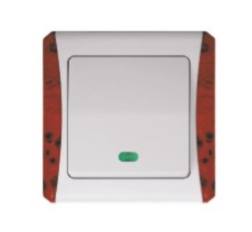 Y Series 1 Gang Wall Switch