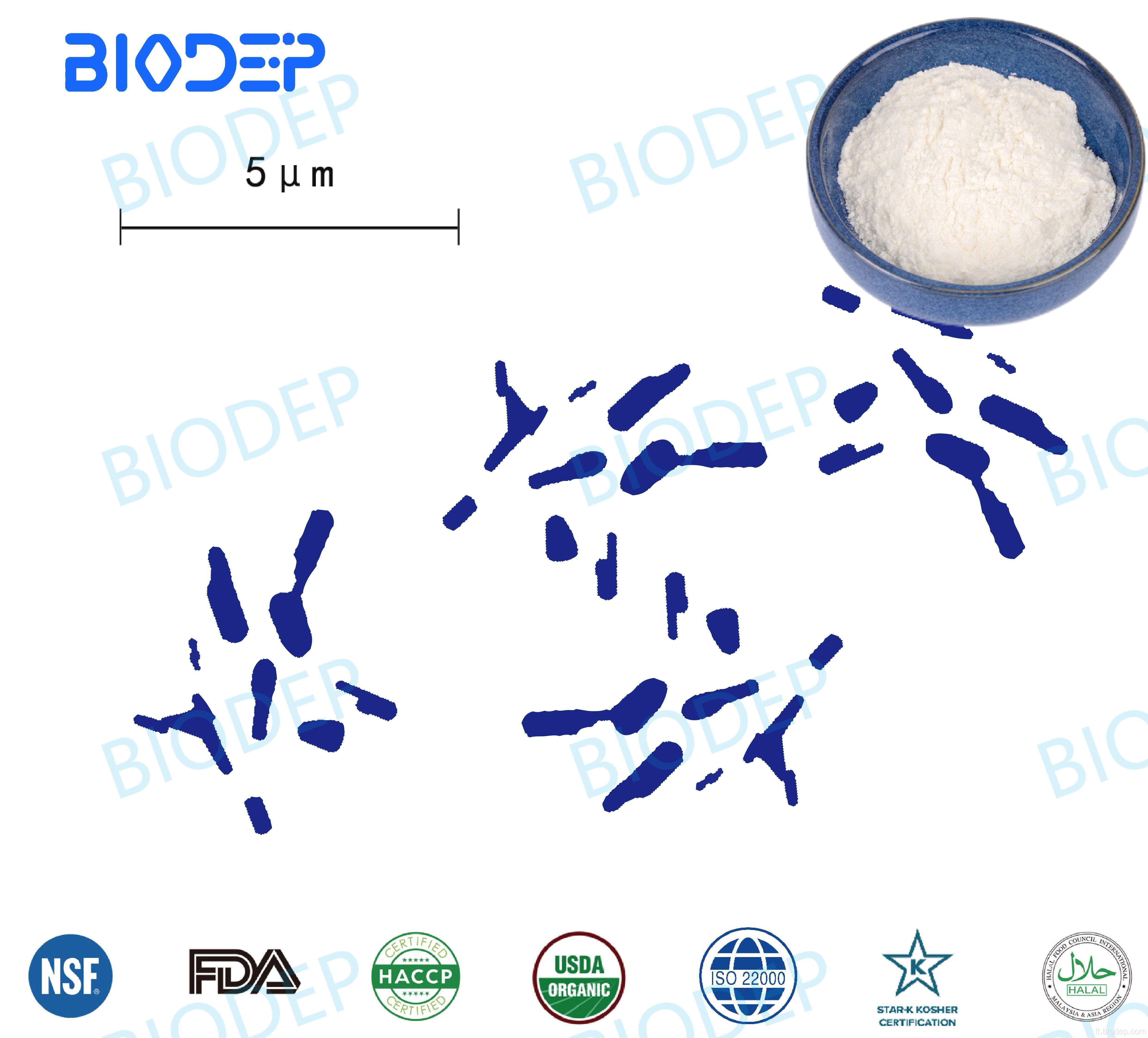 100b CFU/G Probiotics B. Bifidum