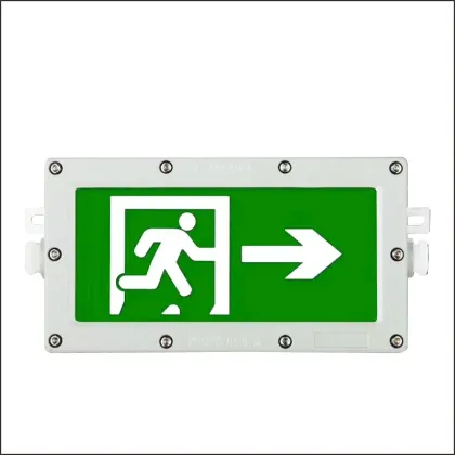110-220V Acrylic Evacuation Indicator Light for Hotels, Hospitals, and Libraries - Foreign Trade Emergency Exit Sign