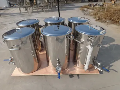 Nano Brewing Equipments/Beer Mash tun/Brew Kettle/HLT