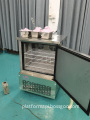Yourtime 150L 5 Trays Commercial Blast Freezer for Seafood Instant Freezing