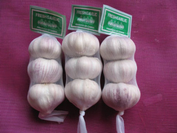 Chinese fresh garlic