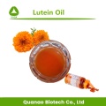 Extrato de flor de calêndula óleo de luteína líquido 20% Softgel
