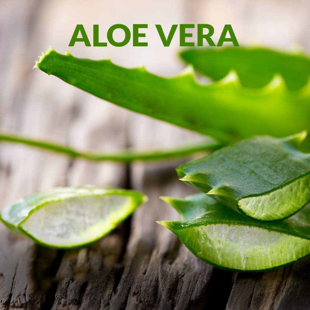 100% reines und natürliches Aloe Vera Öl