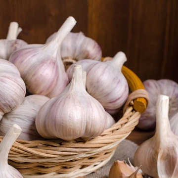 مصابيح الثوم الطازجة للطبخ والاستخدام الطبي