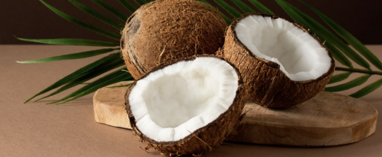 coconut water powder