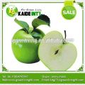 Qualitativ hochwertigen frischen grünen Apfel Obst