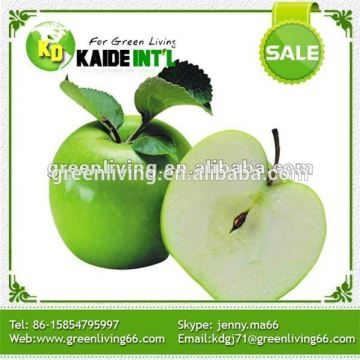High Quality Fresh Green Apple Fruit