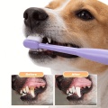 Dual-Tone Pet Toothbrush for Oral Health