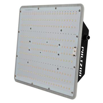 Tablero cuántico Led de alta calidad Grow Light