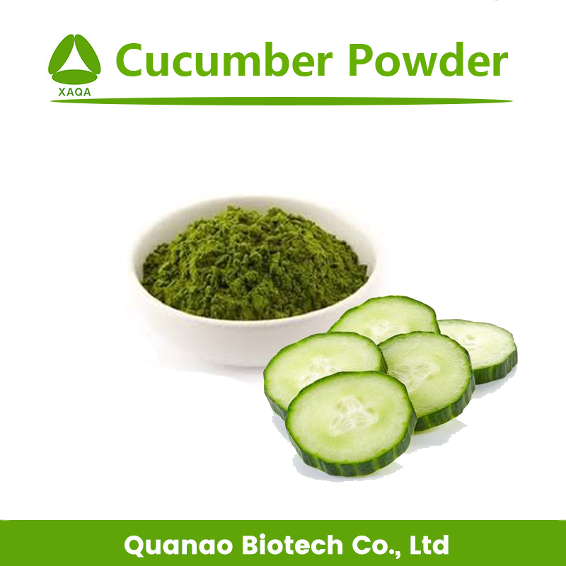 Food Supplement Cucumber Extract Powder / Juice Powder
