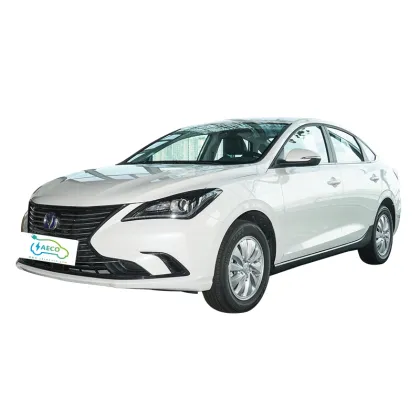 2024 E Star Yidong EV: Brand New Electric Car