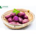 Purple Sweet Potato Powder
