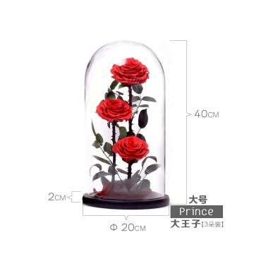 Large Prince 3 Preserved Rose Glass Dome