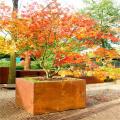 Déplacer le jardinière de fleurs décoratifs de Corten Steel