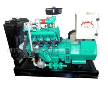 CE Approved 10 kW Biomass Generator for Electricity Generation