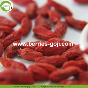 Hete verkoop Factory Supply gedroogde Maleisië Goji Berry