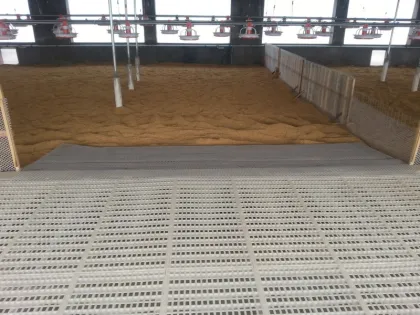 Chicken and duck house slatted floor