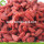 Diet Buah Grosir Rendah Goji Berries Pestisida