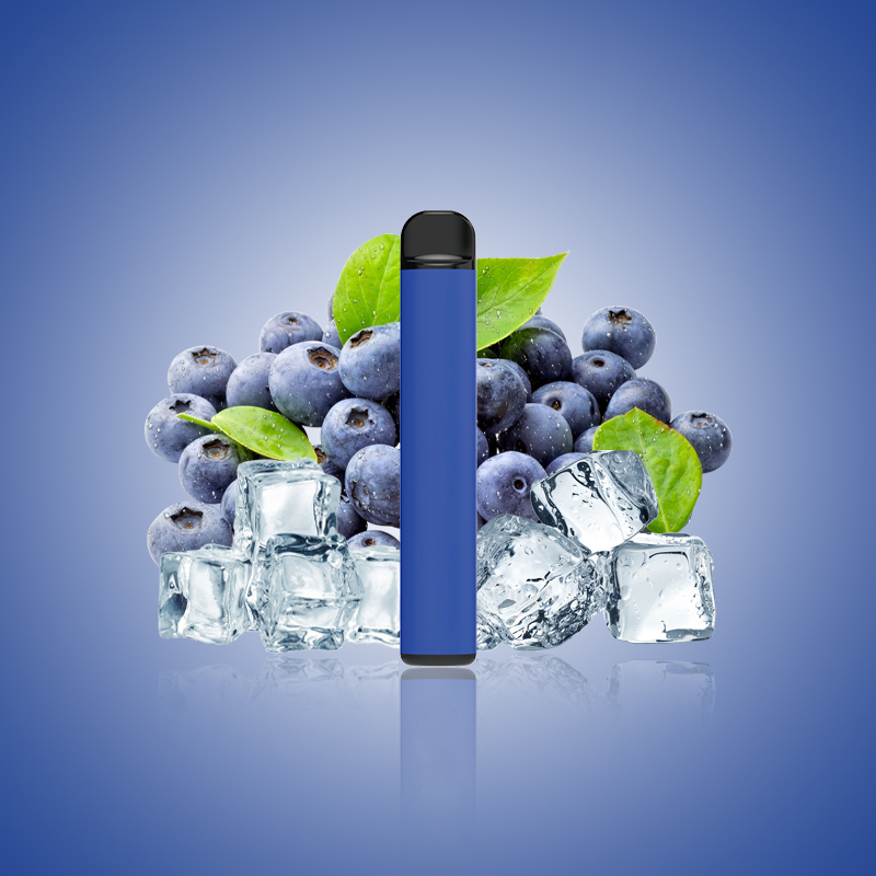 E-CIGARETTE DISPONVEL VAPE 600PUFFS NOVO