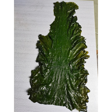 Tabla de corte de algas vegetales de algas marinas