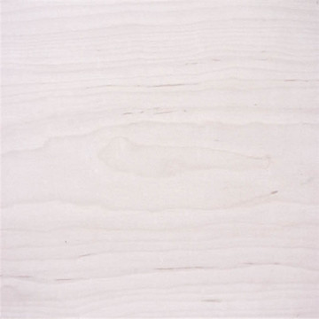 Natural white maple commercial plywood