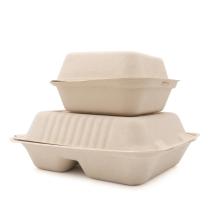 Sugarcane Pulp material disposable paper food lunch box