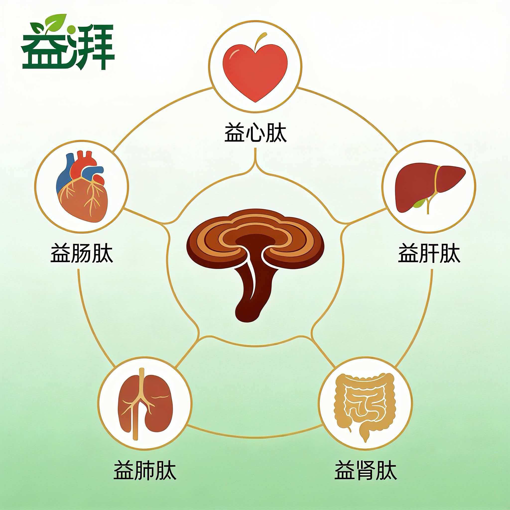 Veterinary supplements