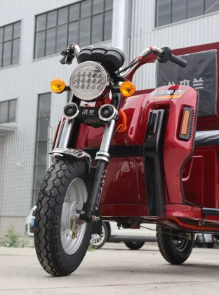 Powerful 1000w Electric Motorcycle