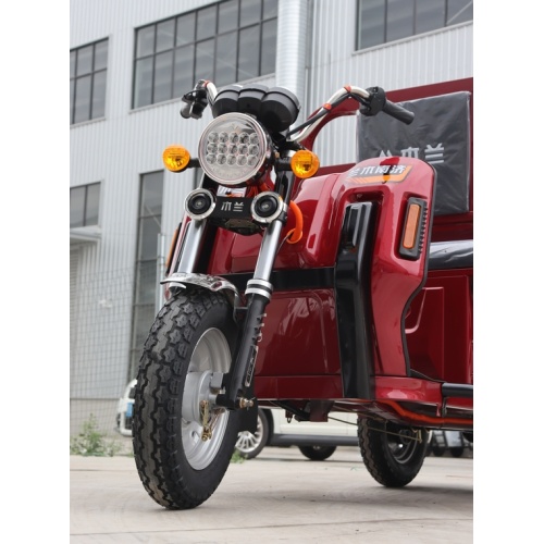 1000w Eec Electric Tricycle Model For Cargo