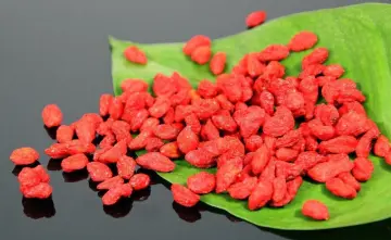 EU certificado Bayas de goji