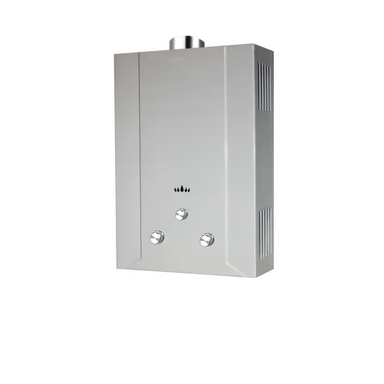 10L Wall-Mounted Gas Water Heater: Junkers Instant Water Heater with Force Exhaust Type