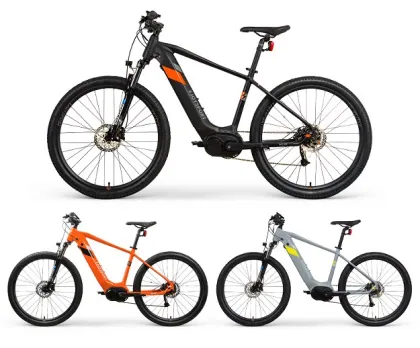 Customized Focus Electric Bikes