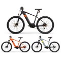 Customized Focus Electric Bikes