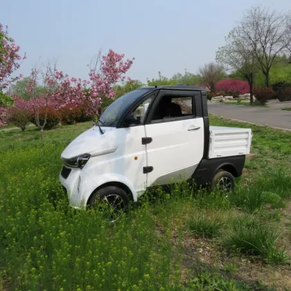 Battery Power Special New Energy Van Truck