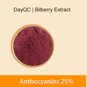 Bilberry extract bilberry 25%